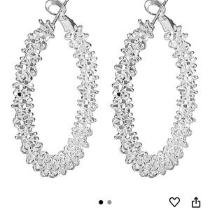 Elegant Silver Hoop Earrings